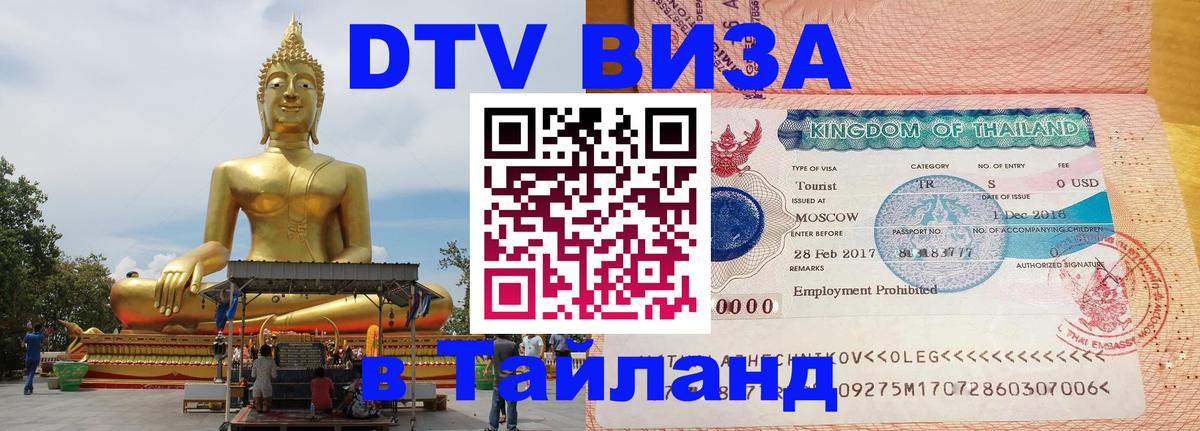 Сколько стоит DTV виза — актуальные цены, оформление даже без документов - 19.11.2025 